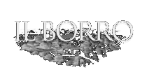 Il Borro 